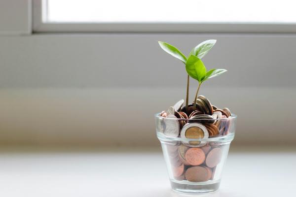 Pflanze in einem Glas mit Geld 